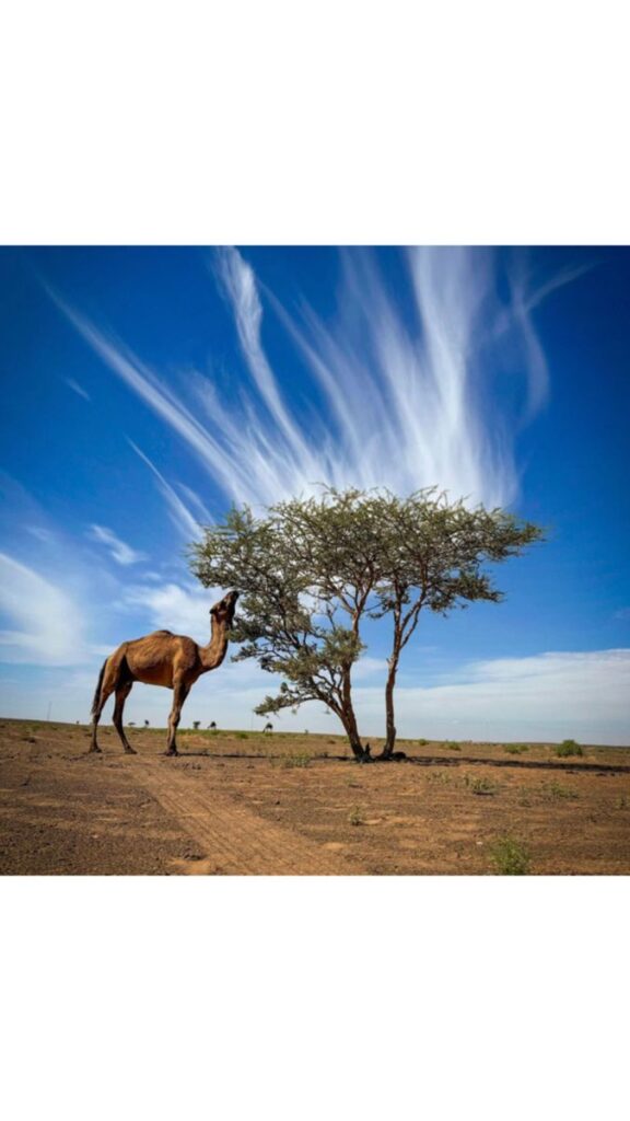 Merzouga 2 Morocco Iconic Desert Morocco