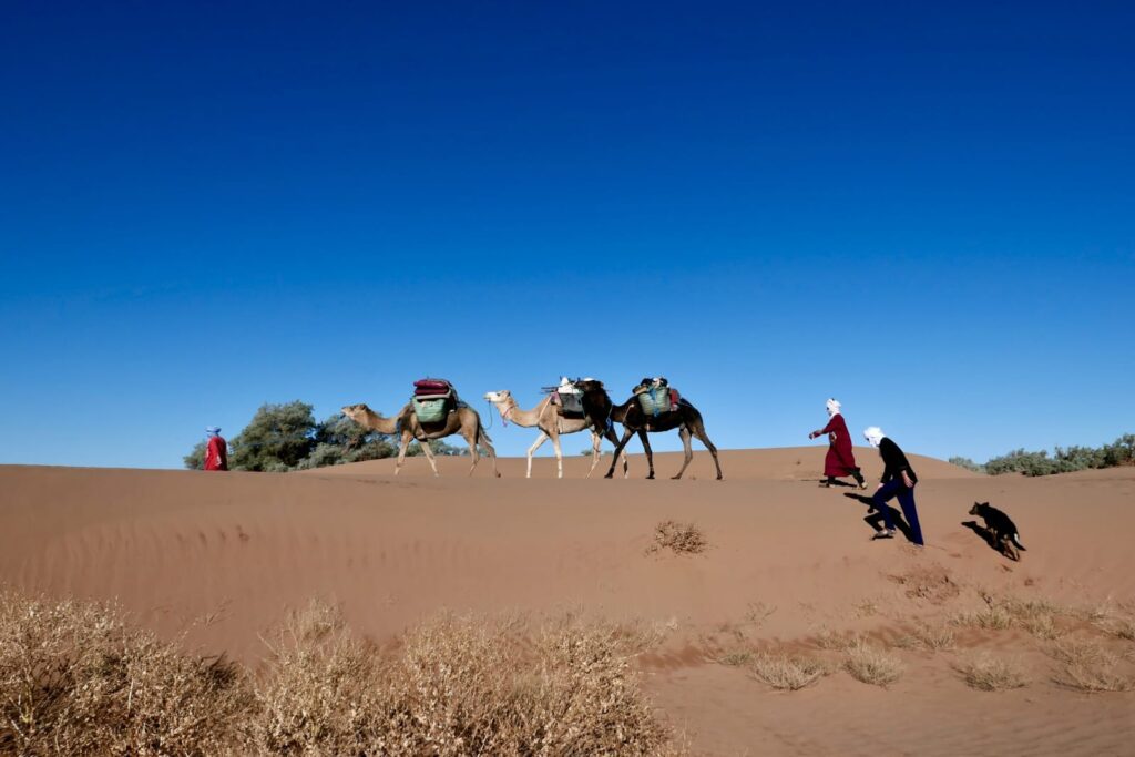 About Us 1 WhatsApp Image 2025 04 25 at 8.54.01 PM 1 Iconic Desert Morocco