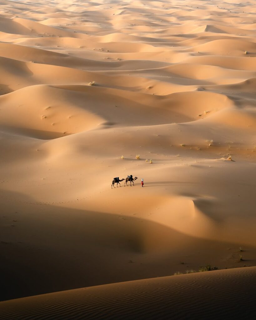 fd Iconic Desert Morocco